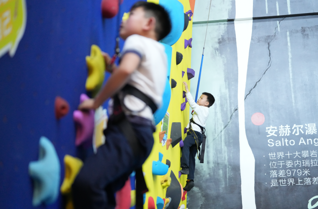 1725240102912454.png 5e81fd9a26e9d3399f5e9685b316c116.png